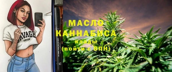 ГАЛЛЮЦИНОГЕННЫЕ ГРИБЫ Бородино
