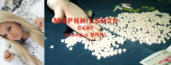 ГАЛЛЮЦИНОГЕННЫЕ ГРИБЫ Бородино