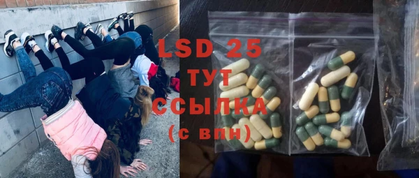 ГАЛЛЮЦИНОГЕННЫЕ ГРИБЫ Бородино