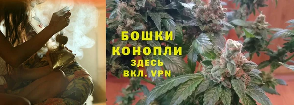 ГАЛЛЮЦИНОГЕННЫЕ ГРИБЫ Бородино