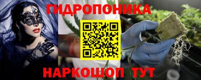 шишки Малгобек