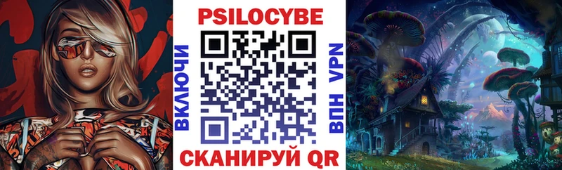 Галлюциногенные грибы Psilocybe Горячий Ключ