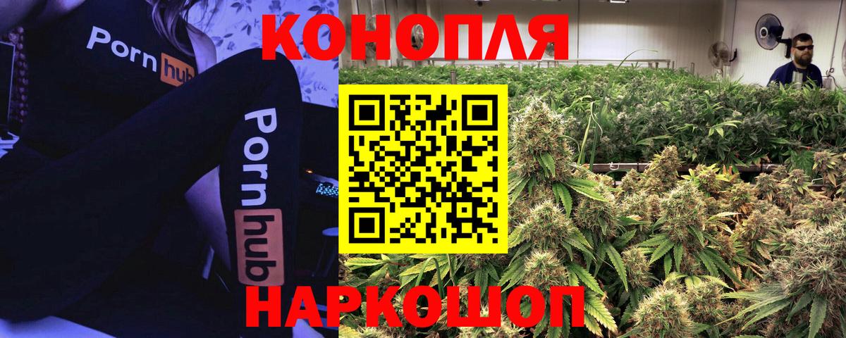 Бошки Шишки THC 21%  Бошки Шишки семена  Вход с VPN  Горячий Ключ  Каннабис сатива 